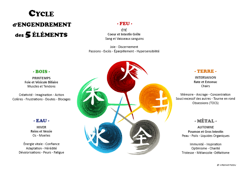 Cycle d'engendrement des 5 éléments'